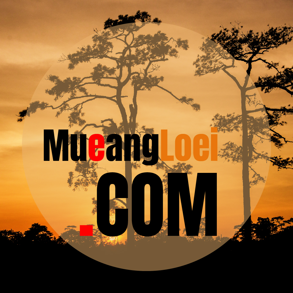 premium-domain-mueangloei-com