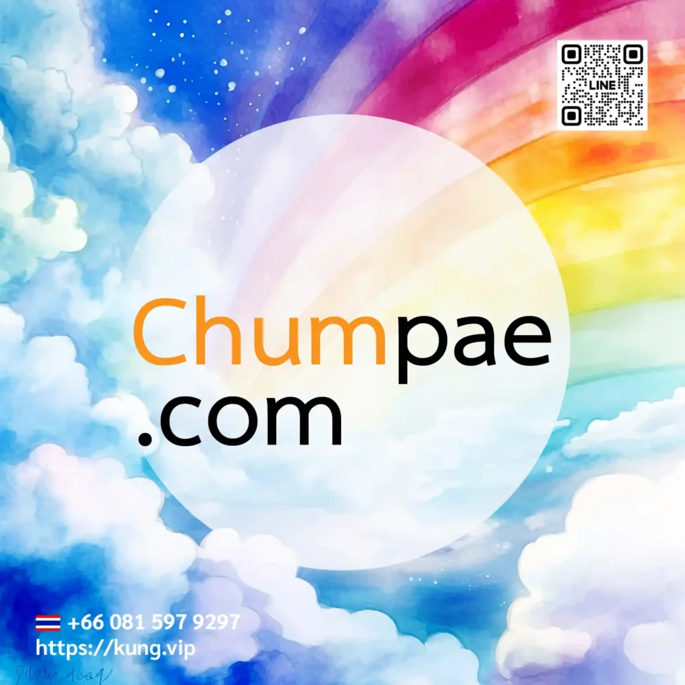 mr.kung sell domain premium chumpae.com