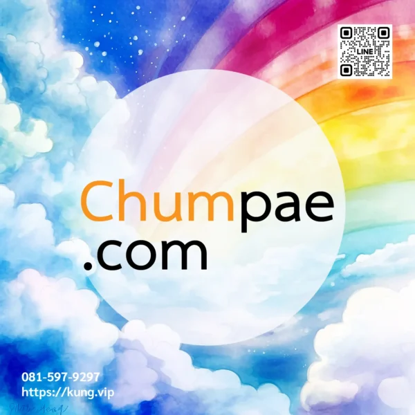 mr.kung sell domain premium chumpae.com