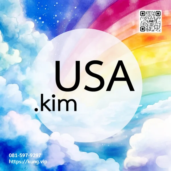 mr.kung sell domain premium usa.kim