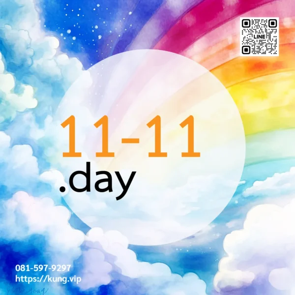 mr.kung sell domain premium 11-11.day