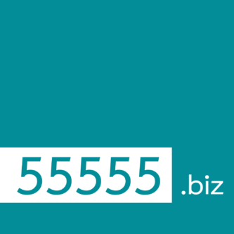 55555.biz - Premium Domain Marketplace - ตลาดซื้อขายโดเมนพรีเมี่ยม