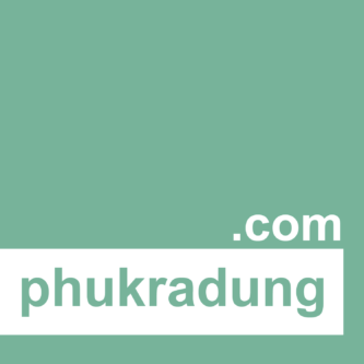 phukradung.com - Premium Domain Marketplace - ตลาดซื้อขายโดเมนพรีเมี่ยม