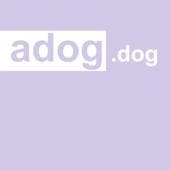 adog.dog - ตลาดซื้อขายโดเมนพรีเมี่ยม ชื่อสวย สั้น จำง่าย