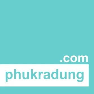 phukradung.com - ตลาดซื้อขายโดเมนพรีเมี่ยม ชื่อสวย สั้น จำง่าย