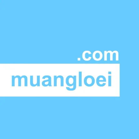 muangloei.com - ตลาดซื้อขายโดเมนพรีเมี่ยม ชื่อสวย สั้น จำง่าย