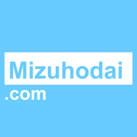 mizuhodai.com - premium domain